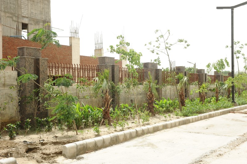 Progress Update - May-2018 4